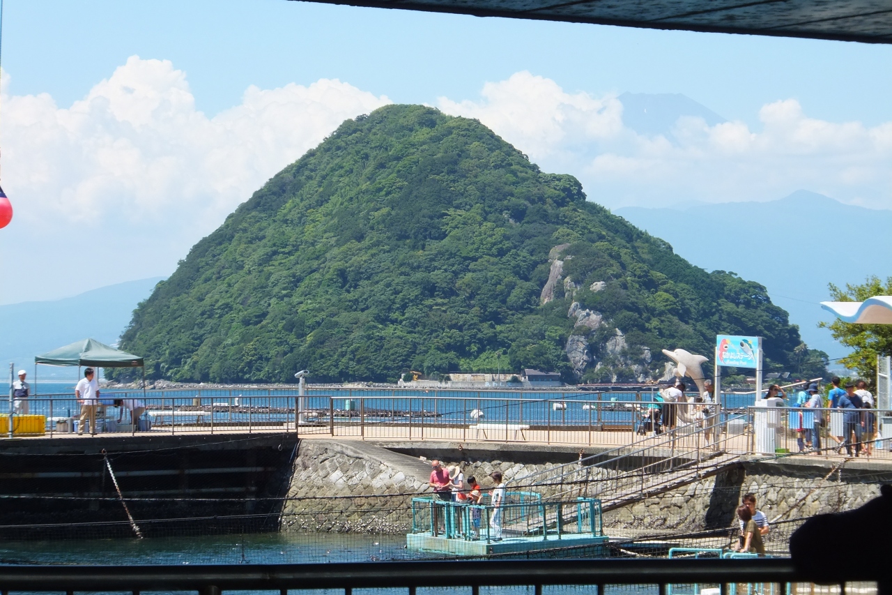 伊豆・三津シーパラダイス（沼津市内浦）