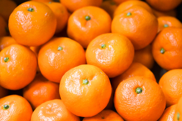 寒い季節はコタツにみかん♪（静岡）