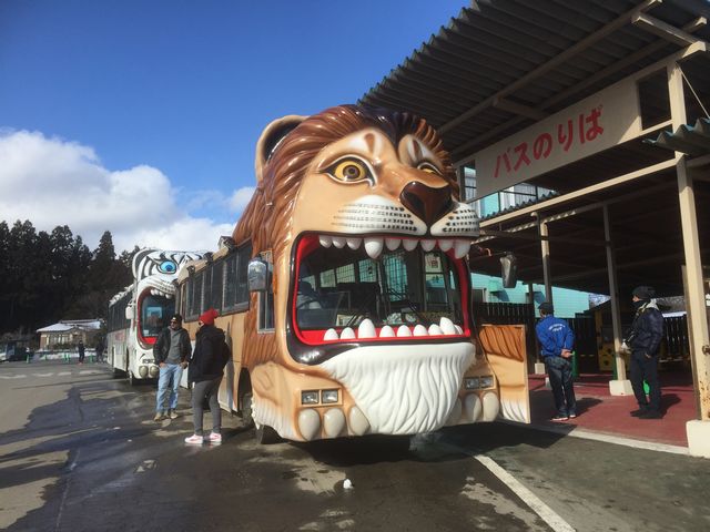 那須サファリパーク（栃木県那須郡那須町／サファリパーク）