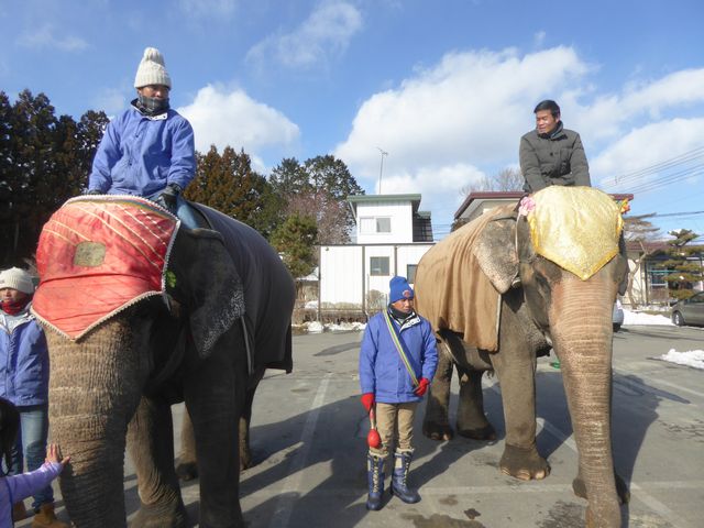 那須サファリパーク２（栃木県那須郡那須町／サファリパーク）