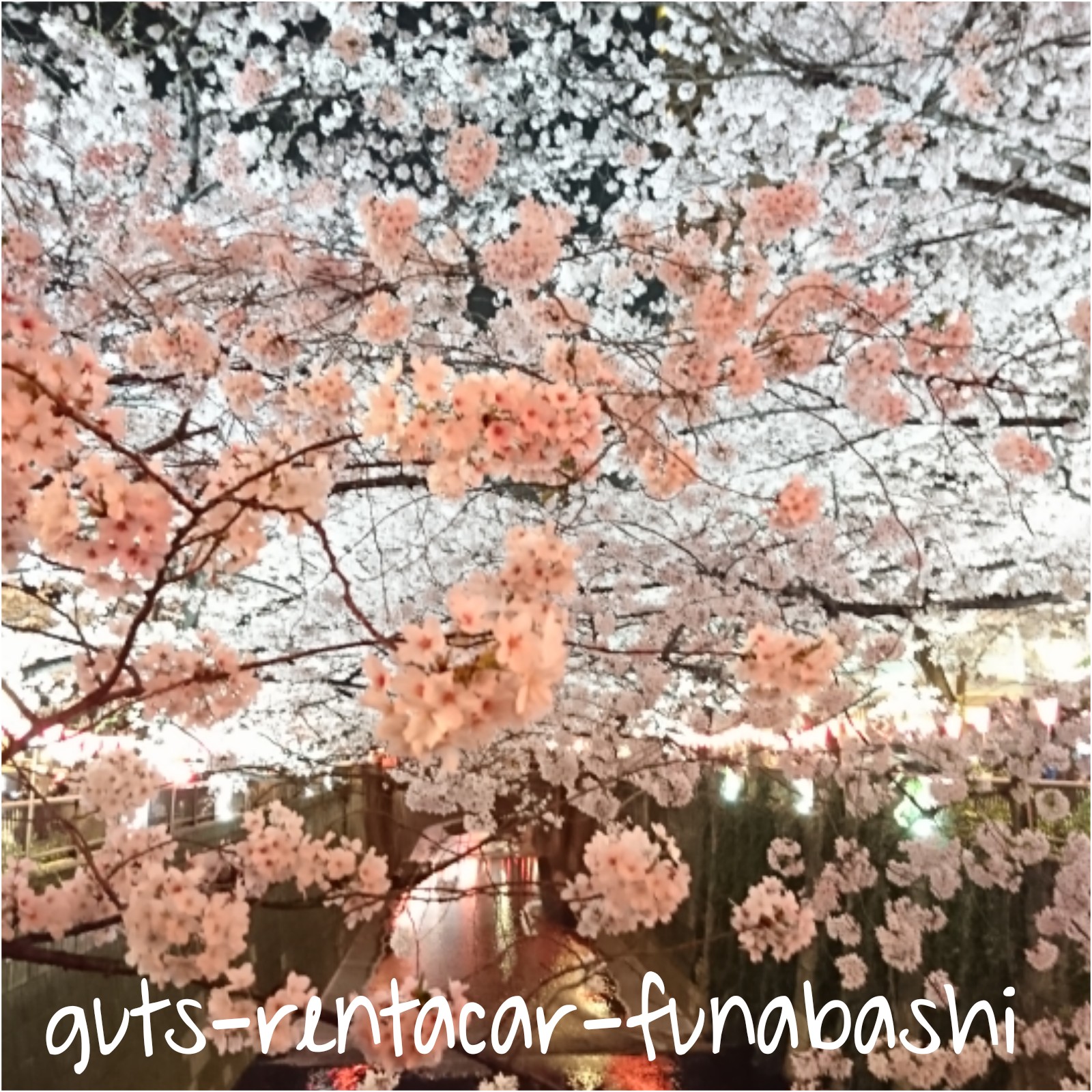 お花見ドライブデートへ！！