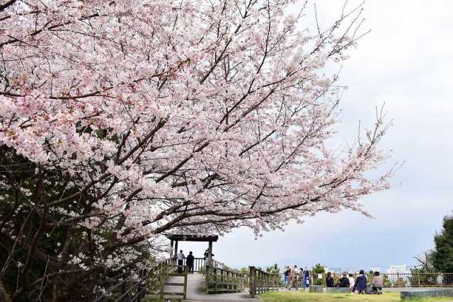 西公園（中央区）