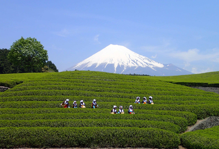 静岡県の古き良き風景をパシャリ♪（静岡県/富士市）