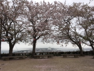 ななの湯、唐津城（佐賀県・唐津市）