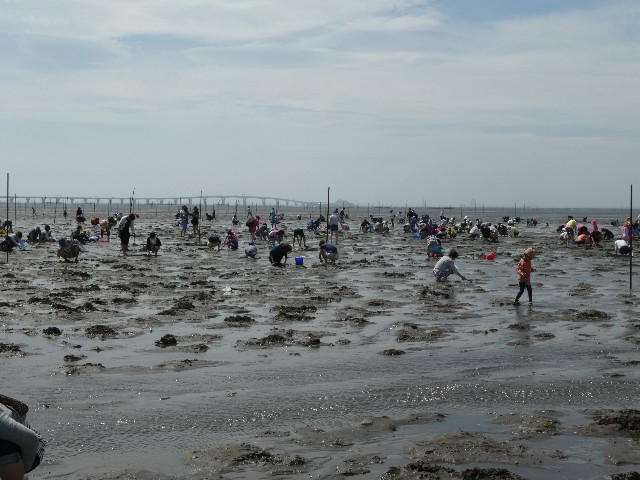 牛込海岸（千葉県木更津市／潮干狩場）