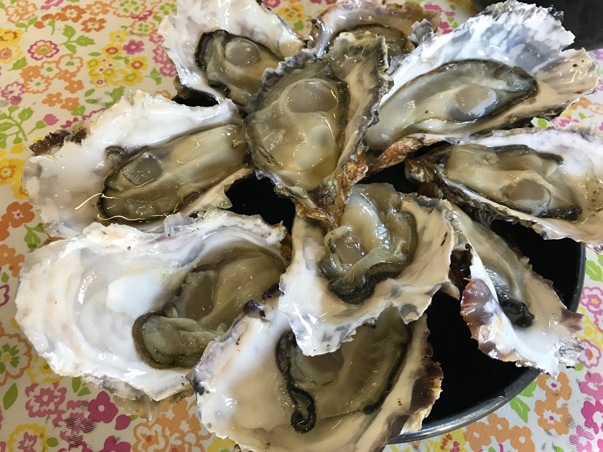 伊勢志摩の中山養殖所