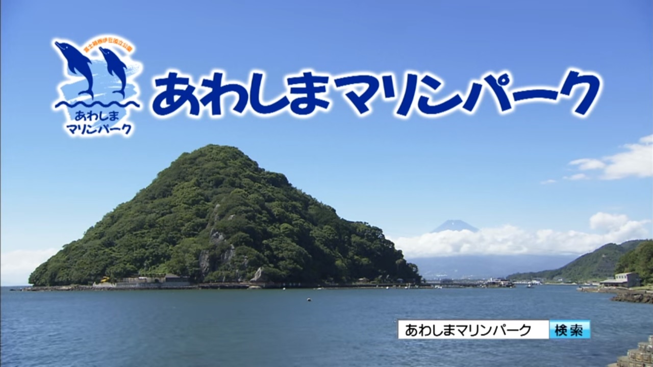 あわしまマリンパーク（静岡県沼津市）