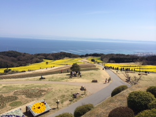 あわじ花さじき（淡路島）