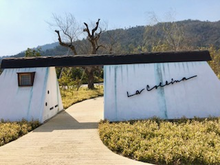 たねや（滋賀県近江八幡市／ラコリーナ近江八幡）