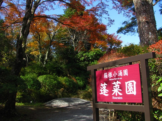 箱根で湯けむり紅葉を楽しもう（神奈川県箱根）