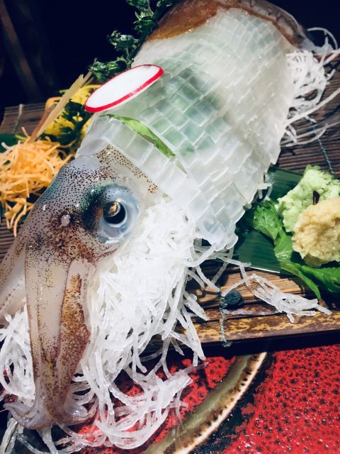 活いかの姿造り