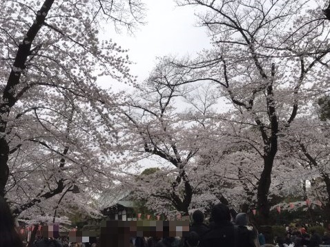 上野恩賜公園（東京都台東区）
