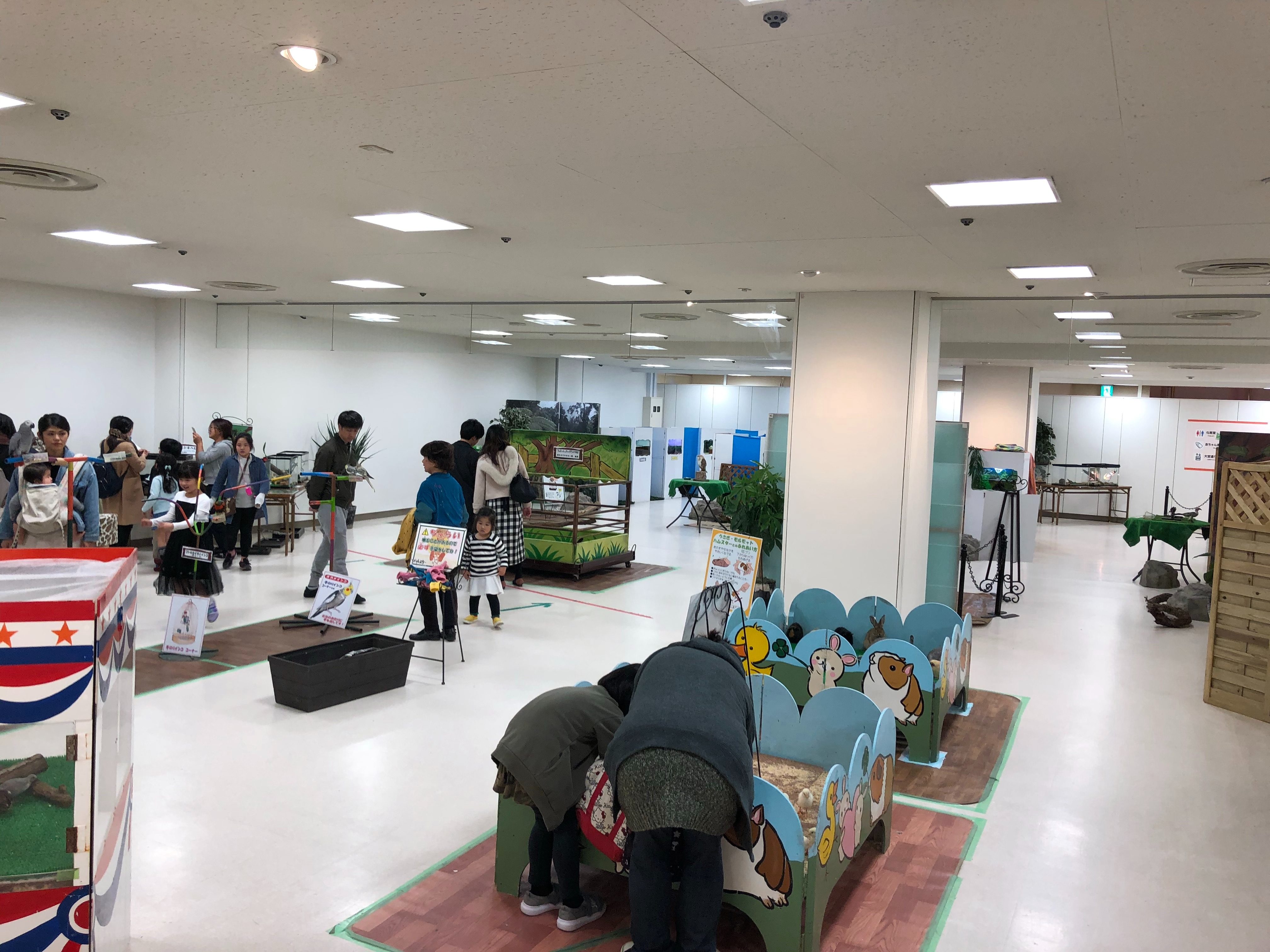 動物ふれあい広場（奈良市/ミ・ナーラ３Ｆ）