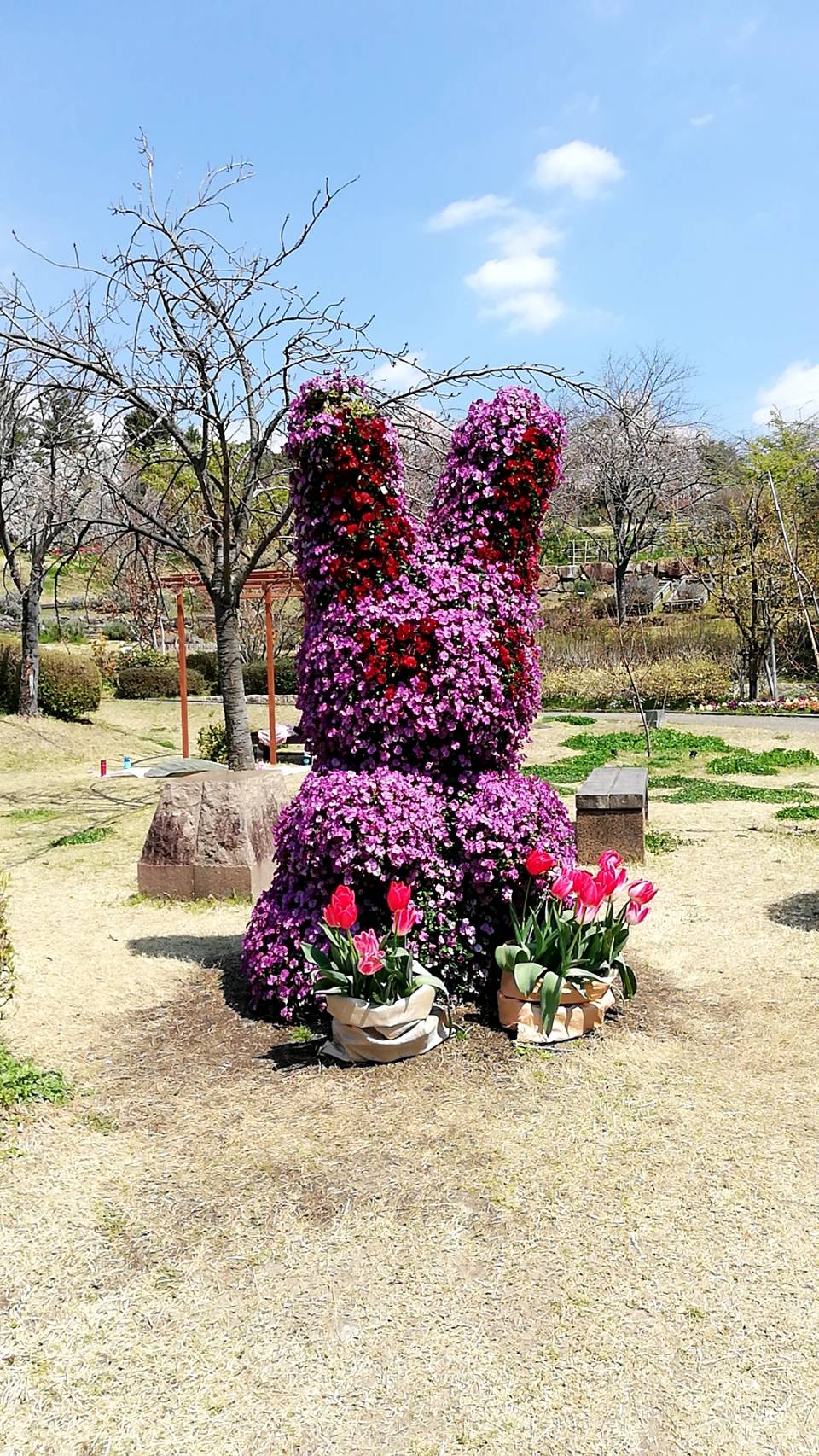 宇治市植物公園（宇治市広野）