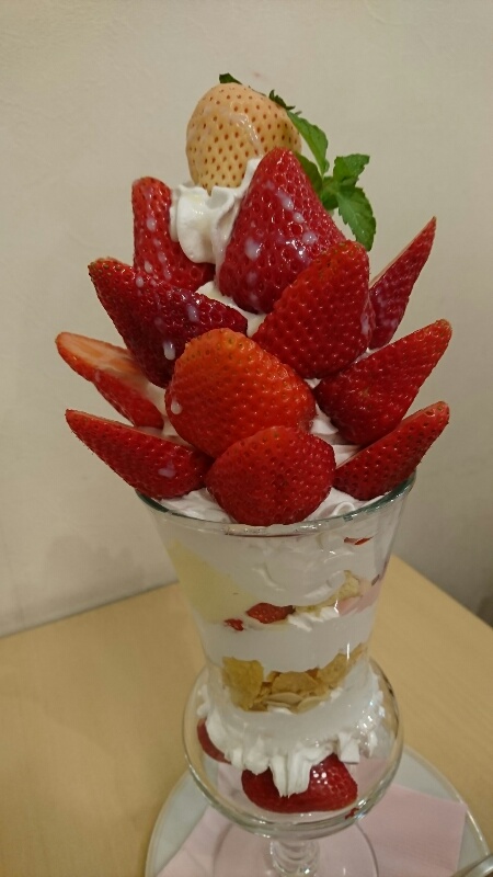 くだもの王国 アオイ農園・ぶどうの木（和泉市 葛の葉町/くだもの・パフェ）