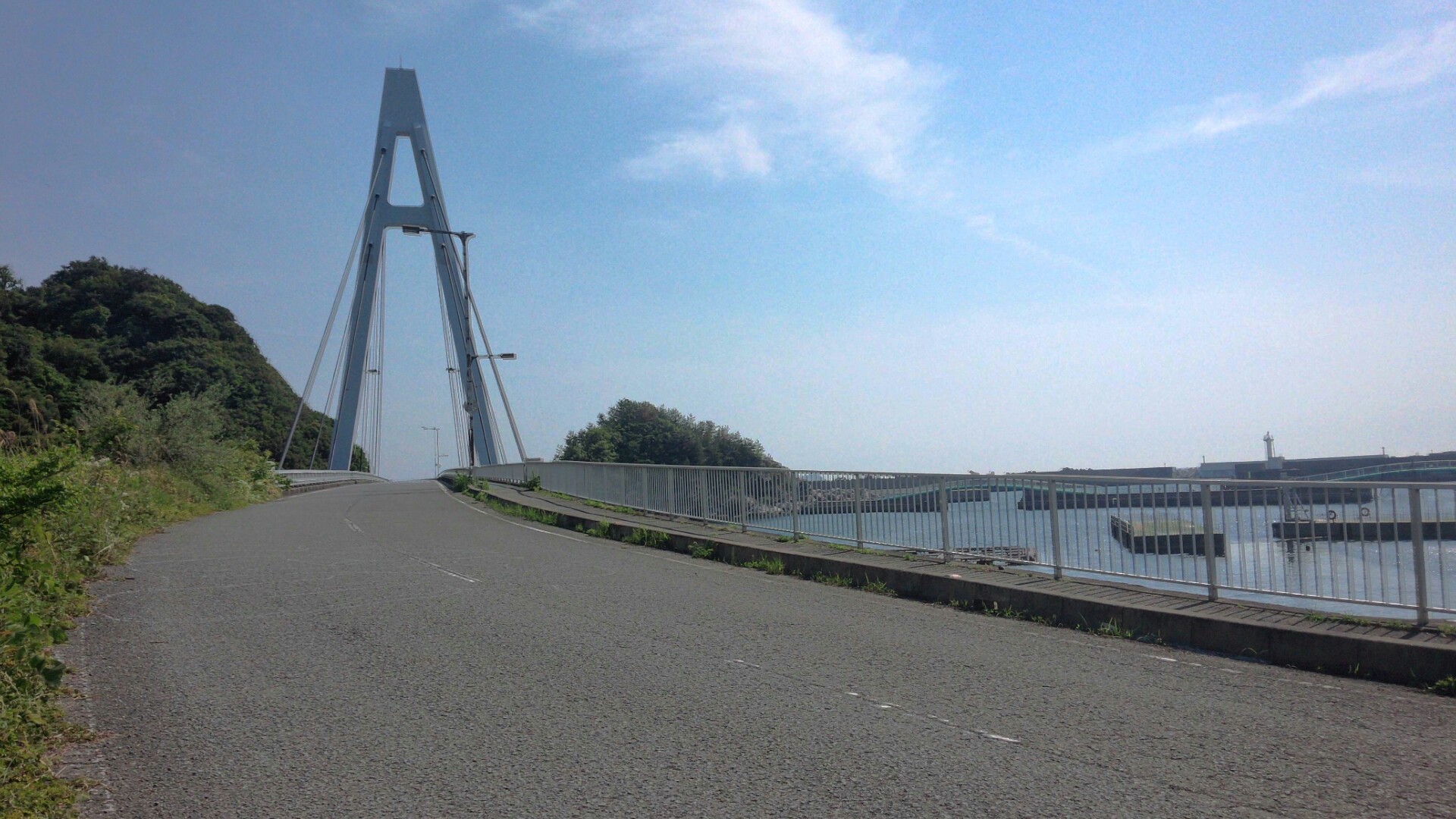 和歌浦海岸通り（和歌山市）