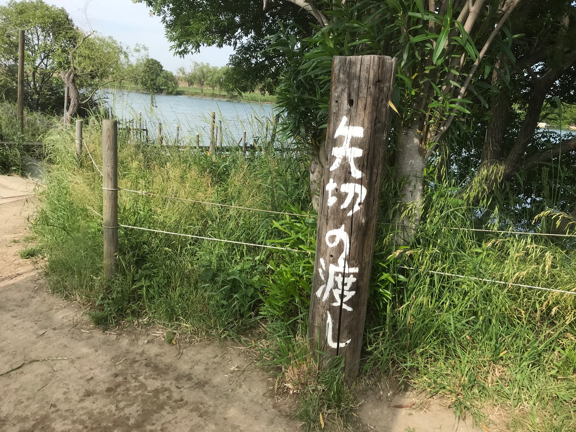 矢切の渡し（千葉県松戸市/観光船）