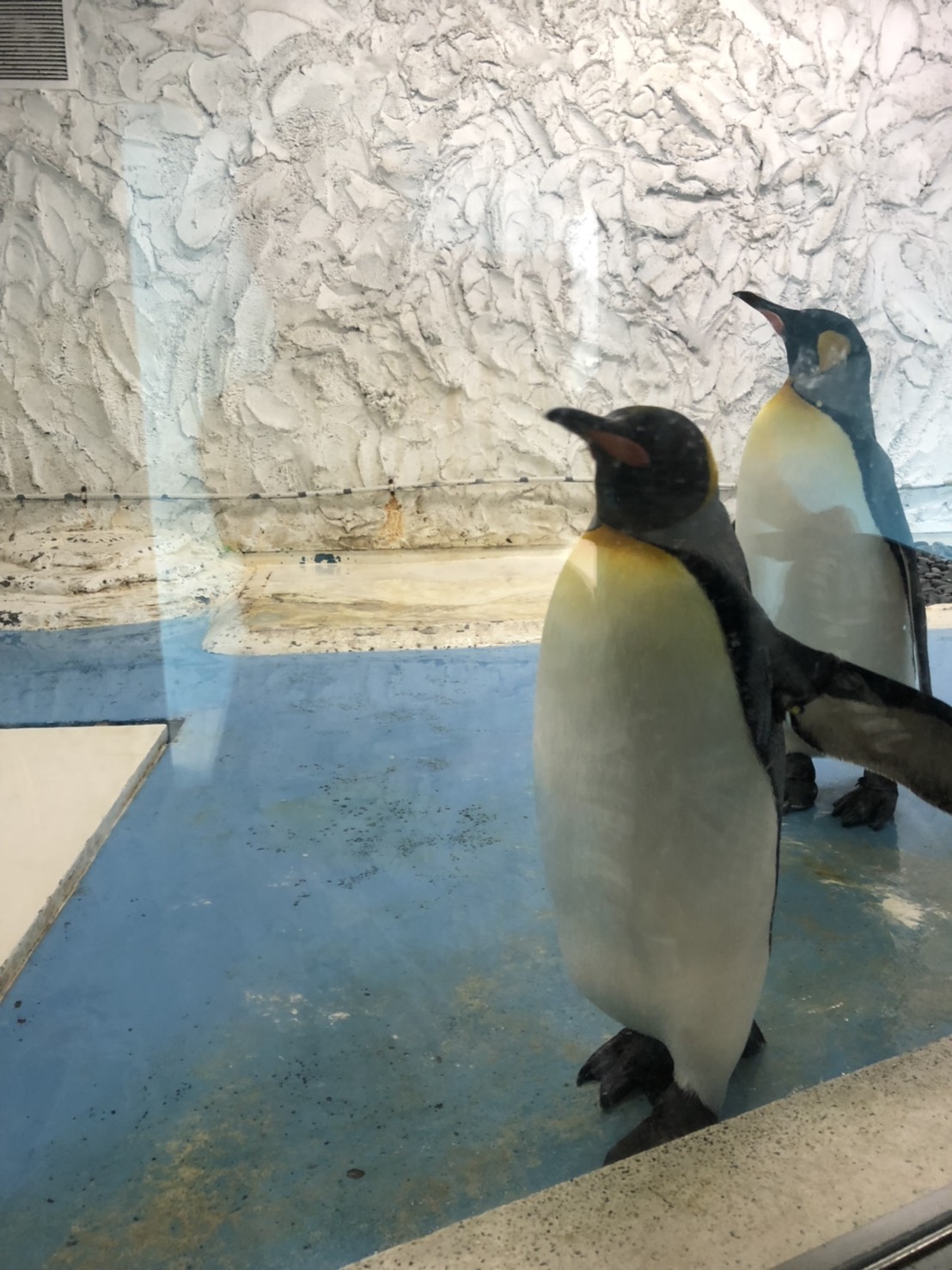 天王寺動物園（大阪市）