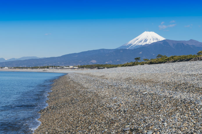 回遊魚メッカ！片浜海岸（沼津市）
