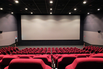 梅雨を楽しむ方法（静岡市）