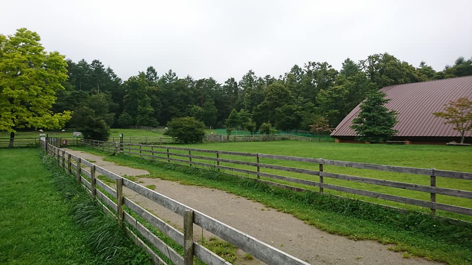 ドックリゾートWoof（山梨県/ホテルドックラン施設）