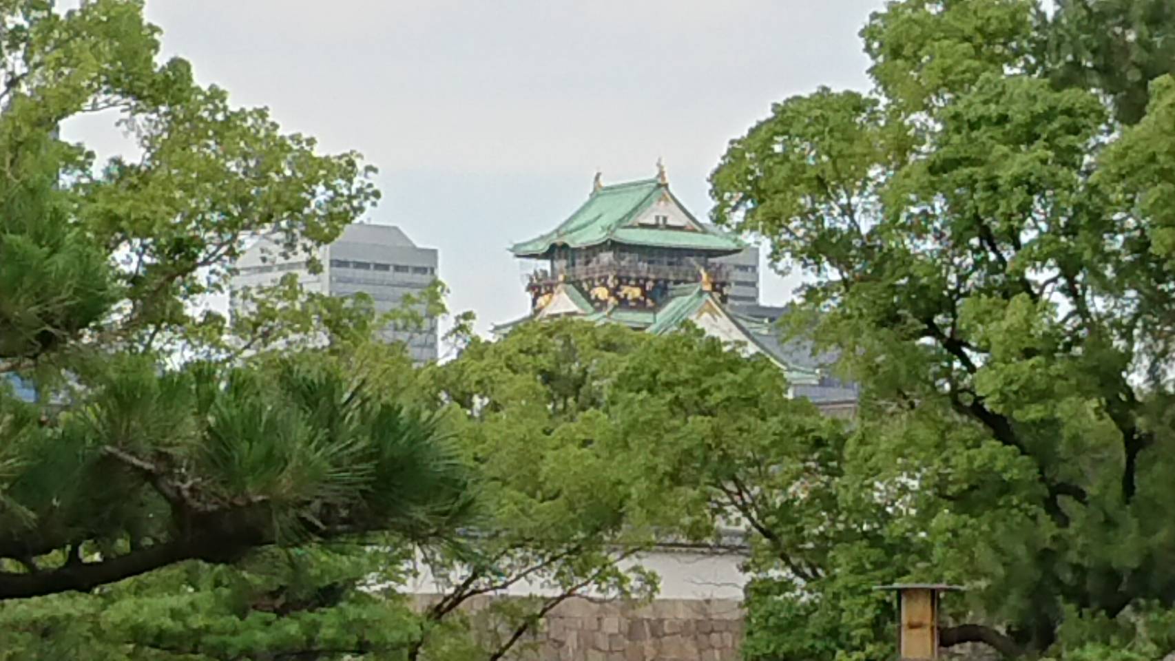 大阪城公園（大阪市）