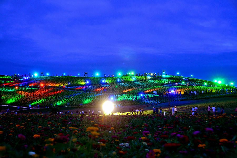 ひたち海浜公園（ひたちなか市）