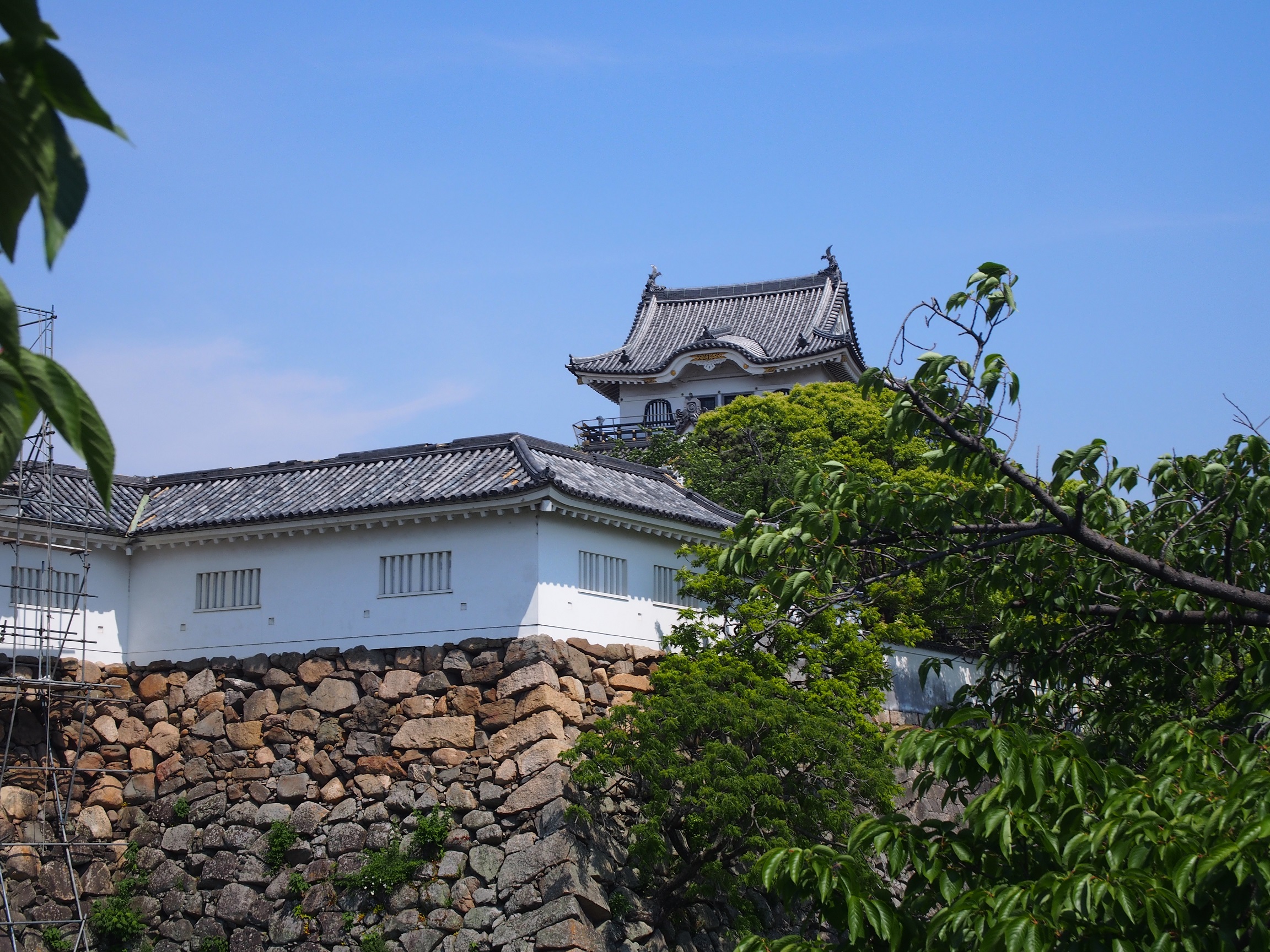岸和田城（岸和田市）