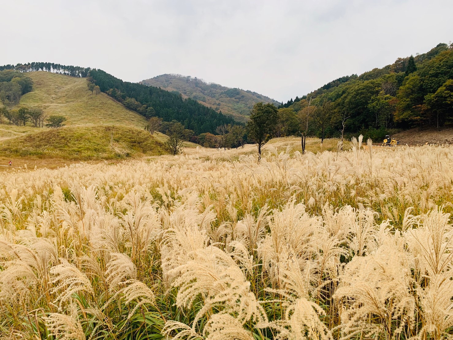 砥峰高原（兵庫県神崎郡）