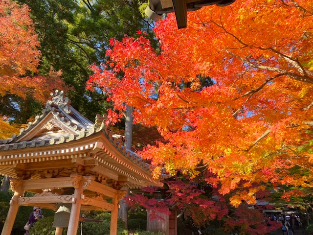 【佐賀駅前店】大興善寺(三養基郡基山町)