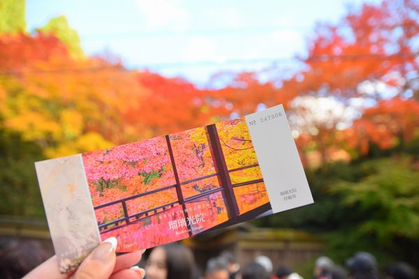 【焼津インター店】瑠璃光院（京都市　左京区）