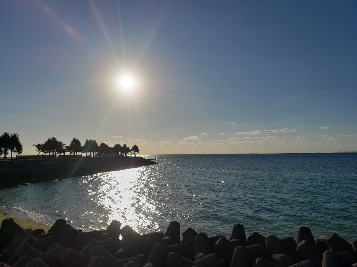 【那覇空港店】冬の沖縄の楽しみ方♪