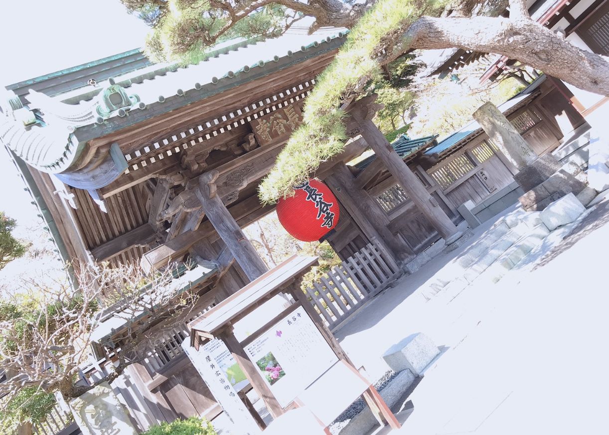 【小田原店】長谷寺（神奈川県鎌倉市）