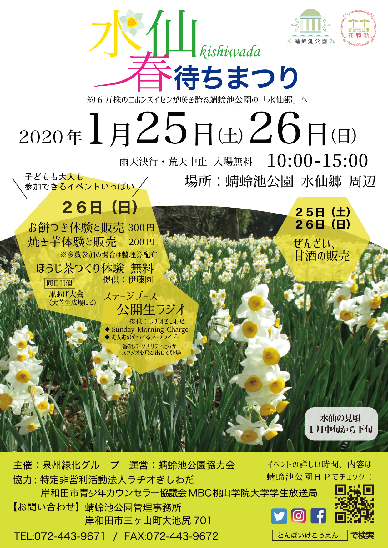 水仙春待ちまつり（大阪府/岸和田市）