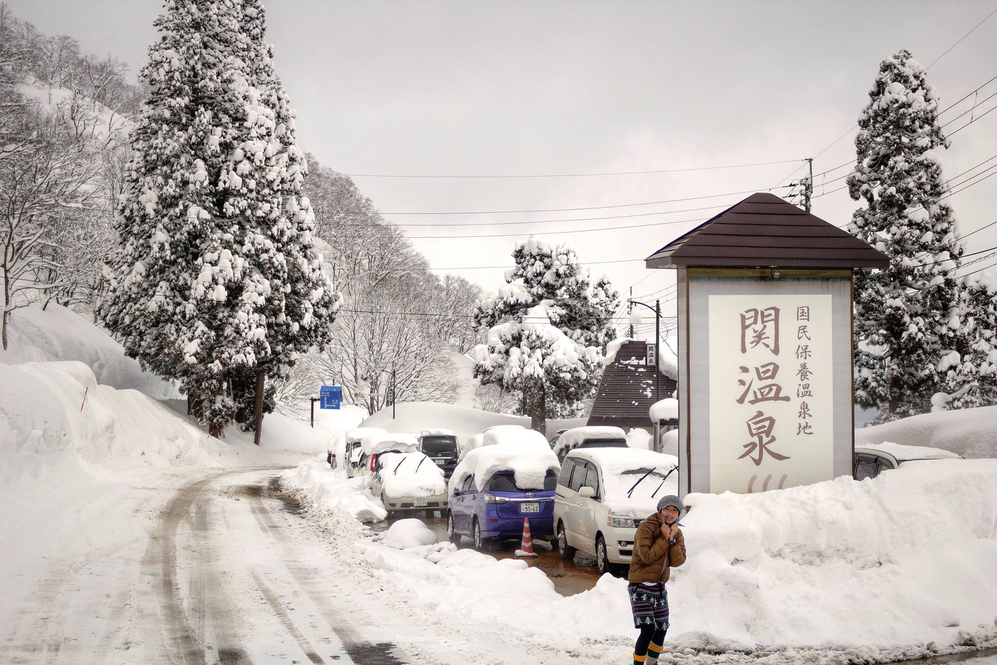 関温泉スキー場　（新潟県妙高市/スキー場）