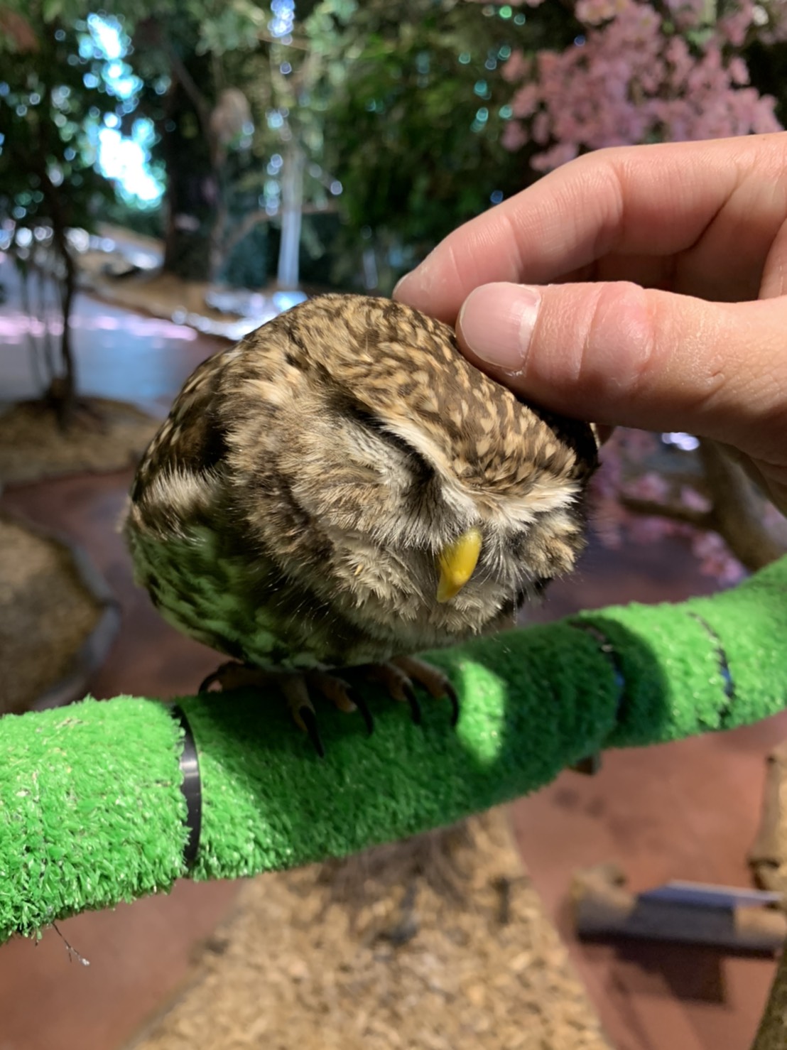 【三島店】鎌倉ぶらり旅