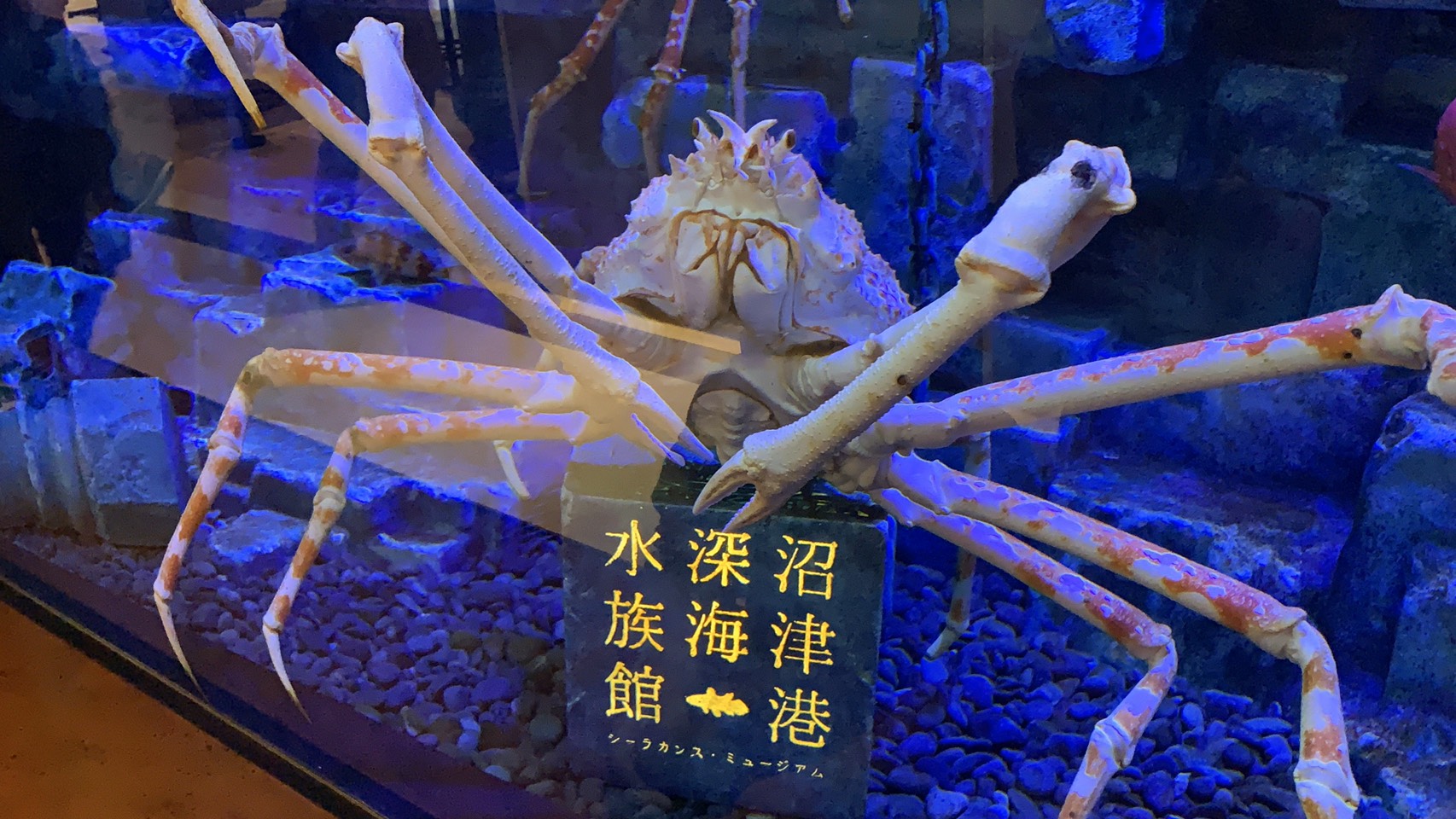 地元をプラプラ🚗