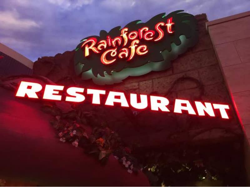 【市川店】レインフォレスト カフェ(イクスピアリ/舞浜)