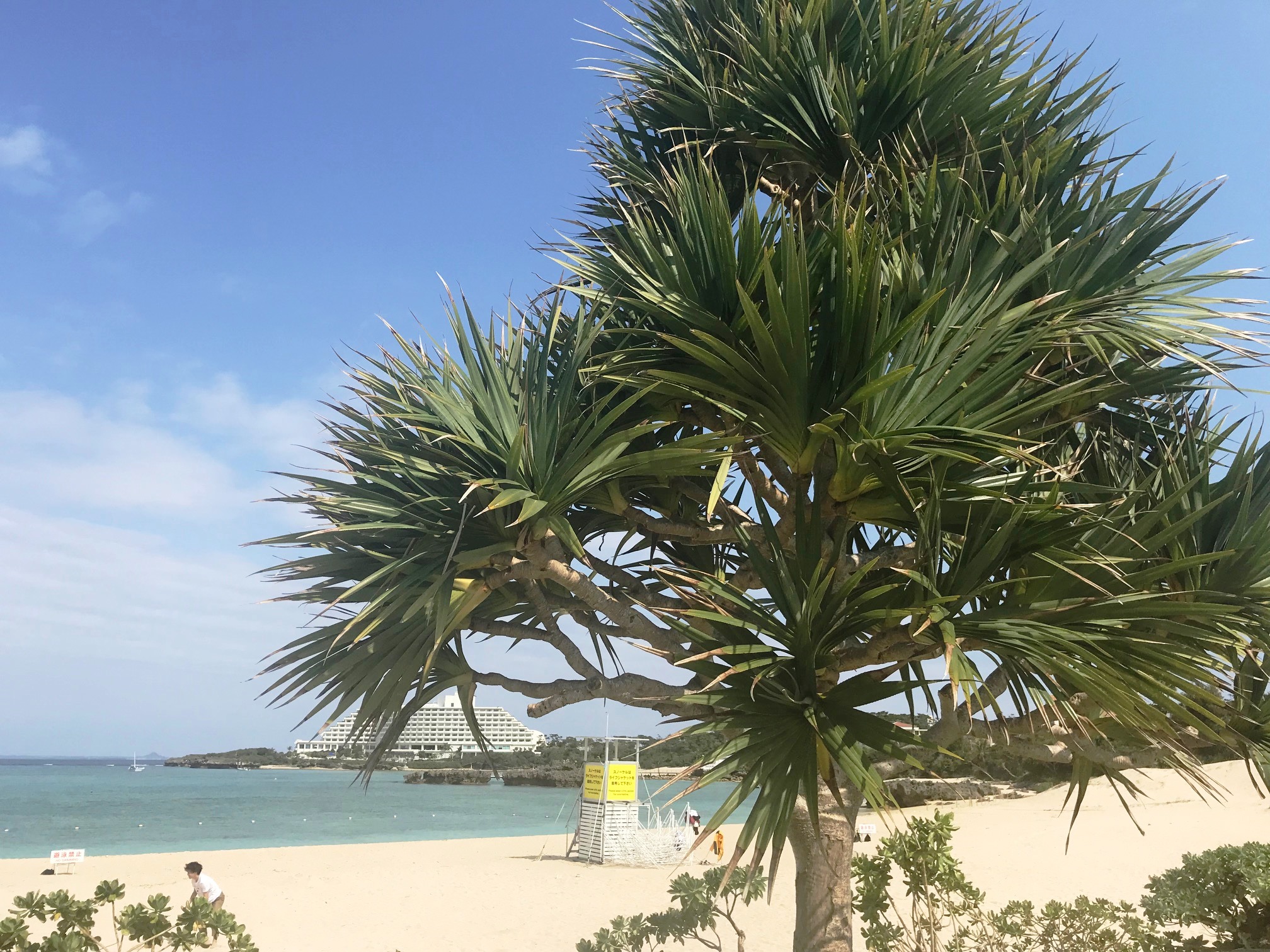 【小田原店】オーシャンズピザ（沖縄県読谷村）