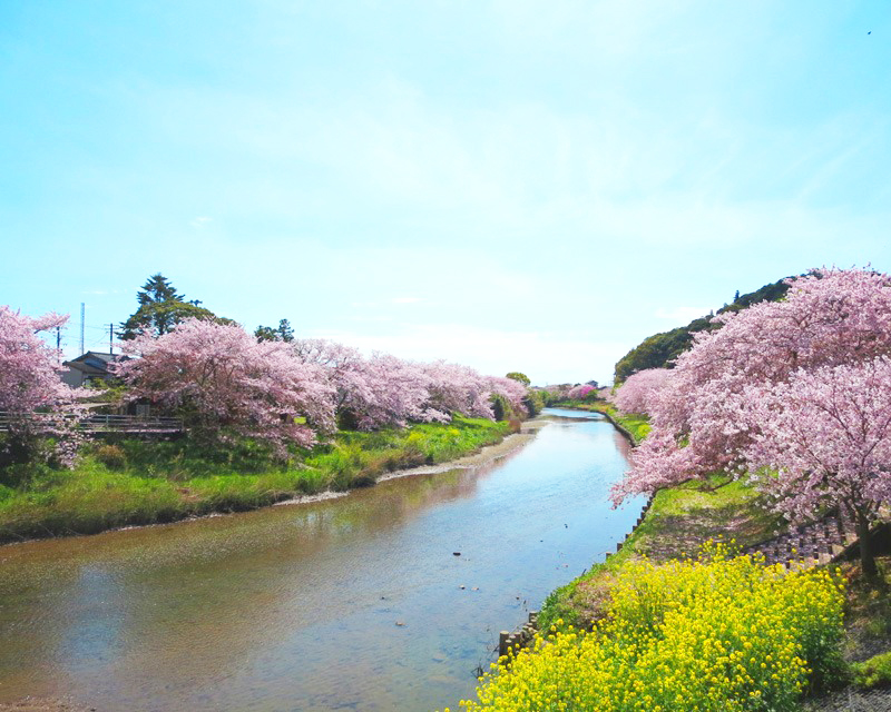 焼津インター店からお勧めスポットのご紹介