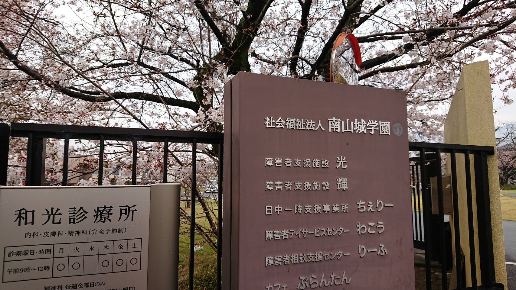 【枚方店】南山城学園付近まで散歩してきました。