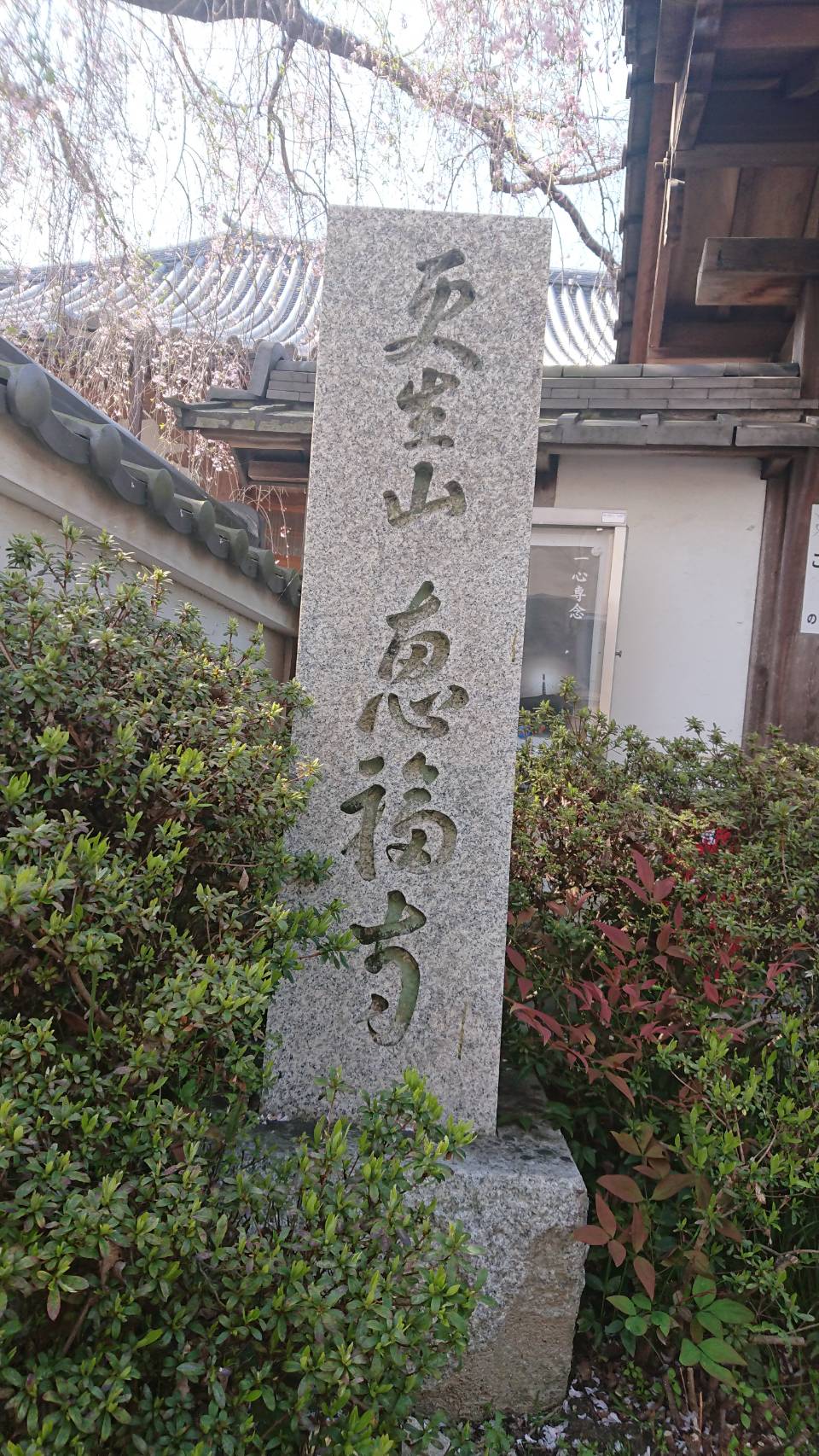 【枚方店】恵福寺　(京都市）