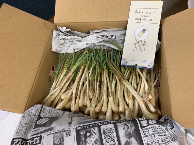 【那覇空港店】　伊江島産　島らっきょう