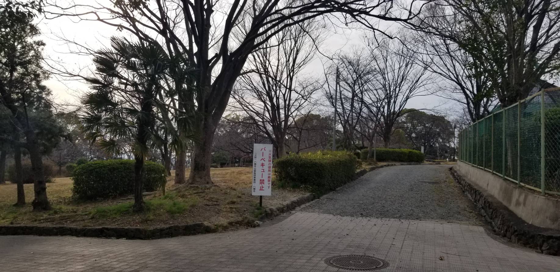 【枚方店】さくら公園　(八幡市）