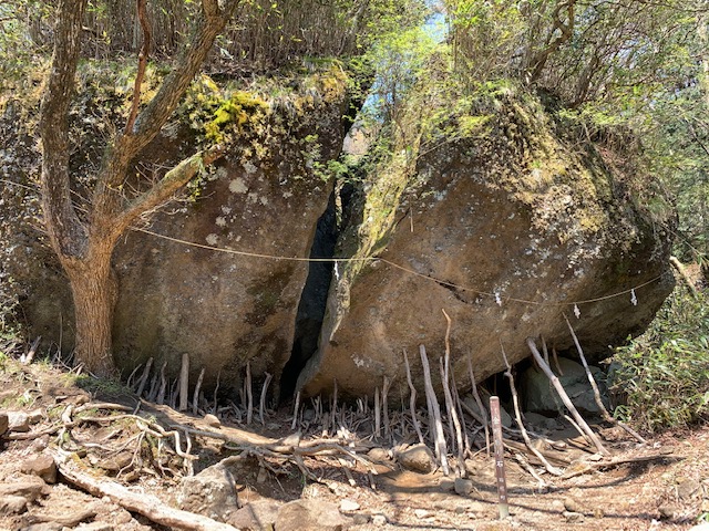 【小田原店】金時山登山道中編（箱根町仙石原）