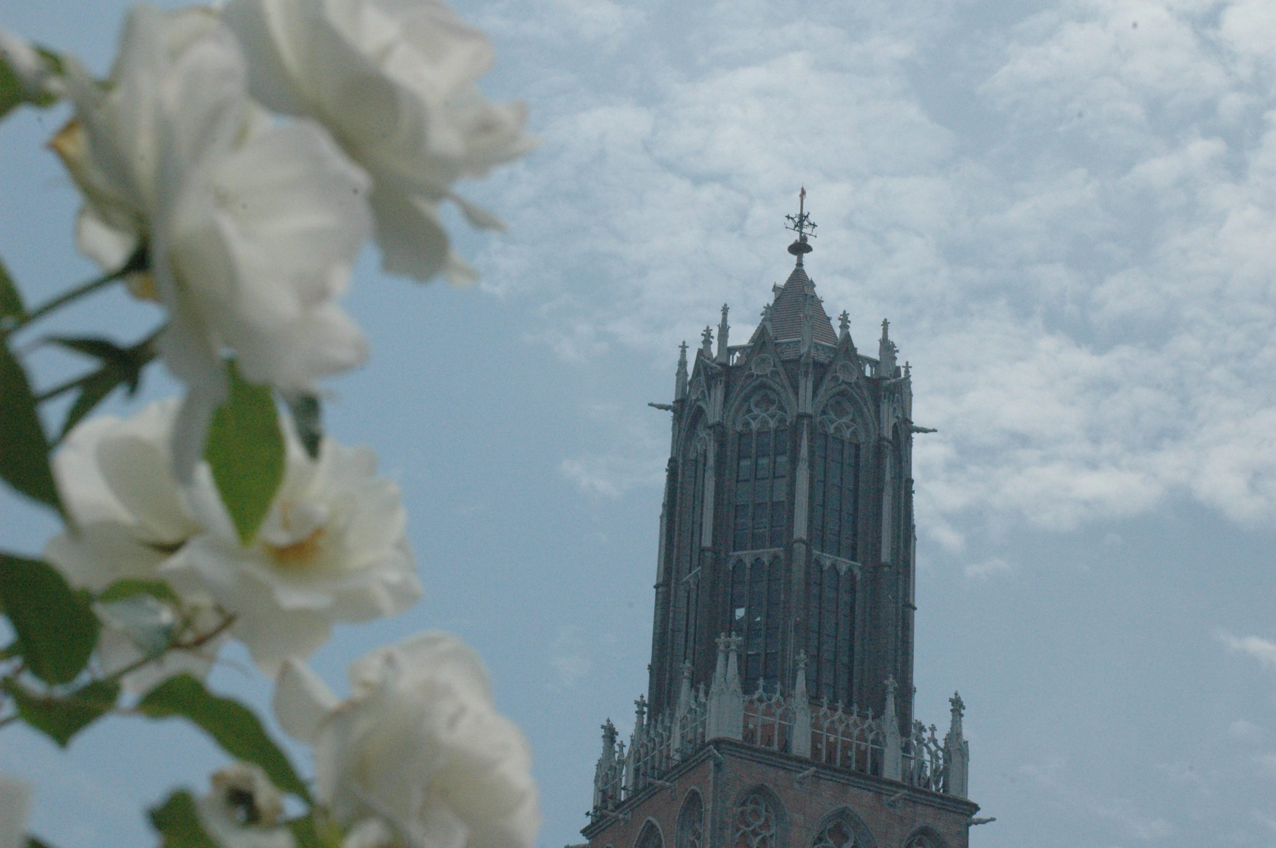 長崎と言ったら