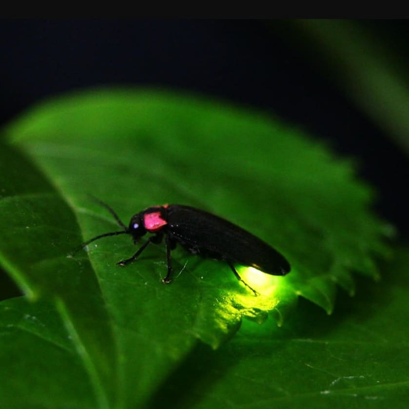 【加古川店】梅雨の時期オススメスポット♪