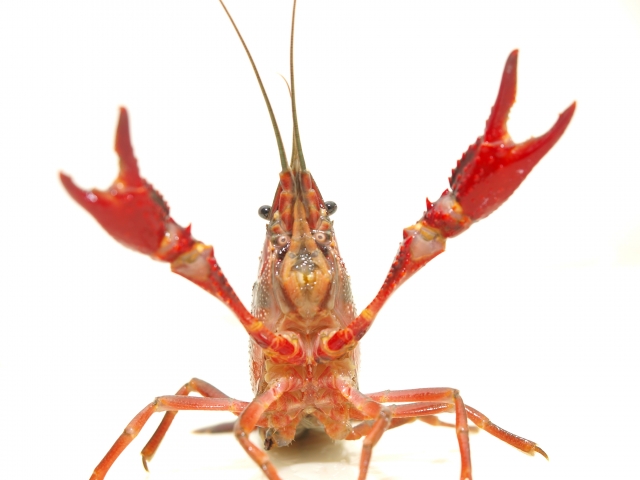 【宝塚店】昆陽池で水遊び