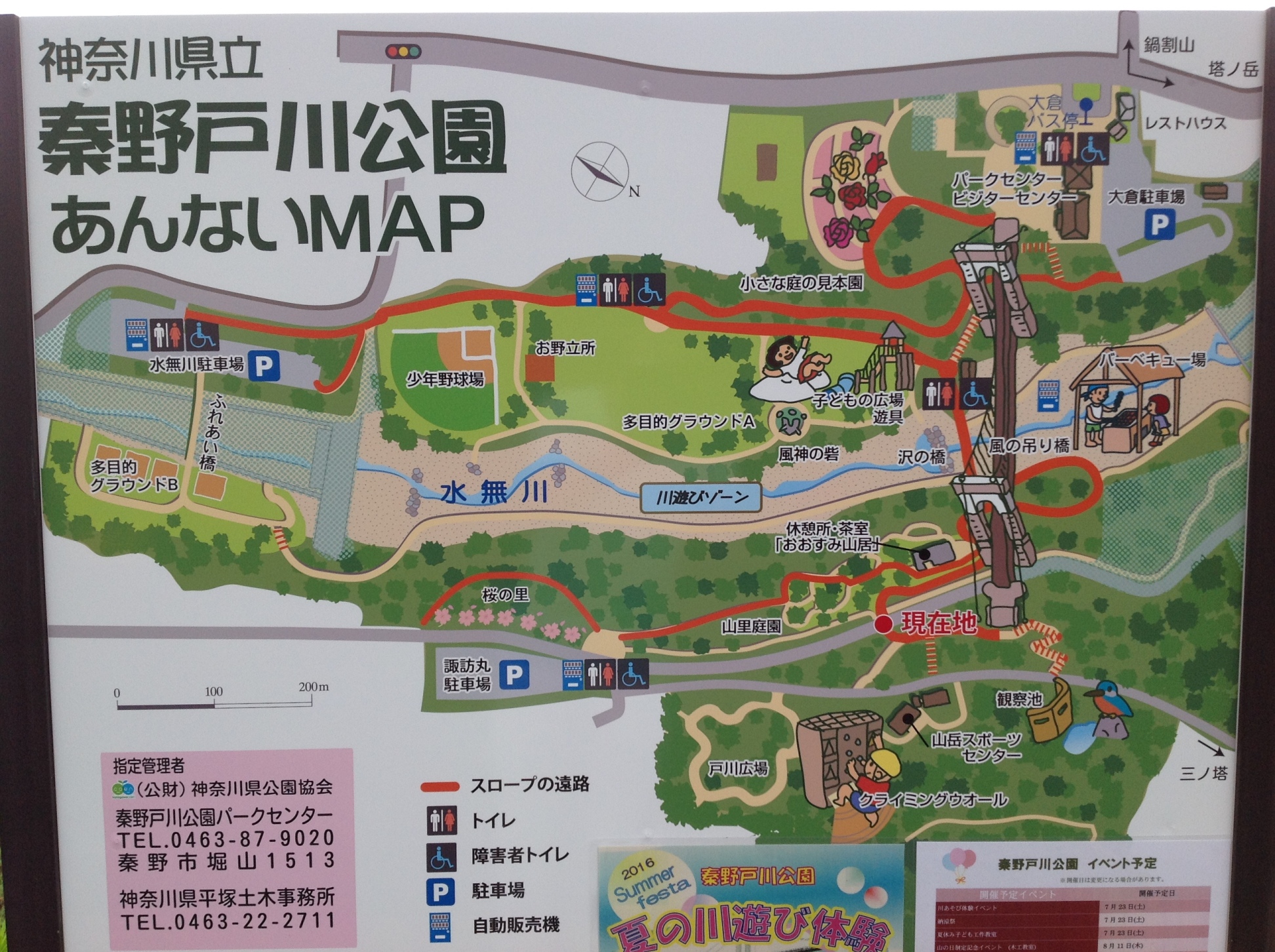 【小田原店】ガッツレンタカーで秦野戸川公園へ快適ドライブ♪