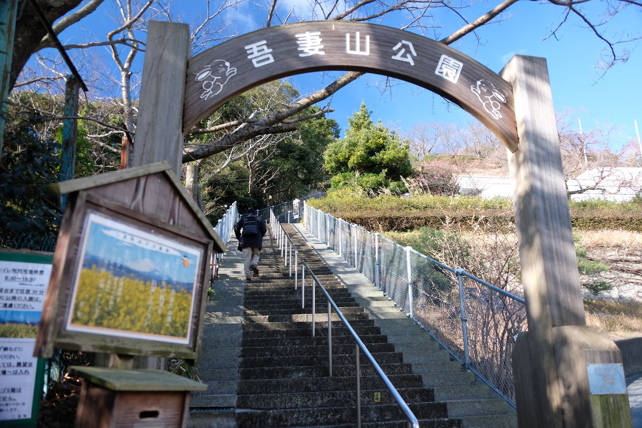 二宮の吾妻山公園にガッツレンタカーで行ってきました
